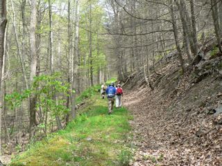 Benson Run Trail
